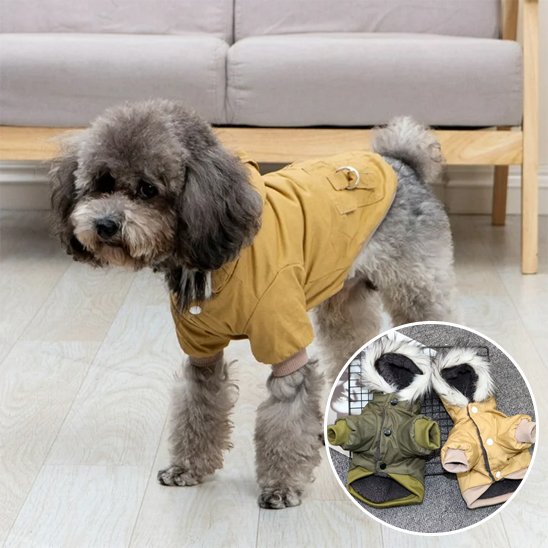 Manteau pour chien
