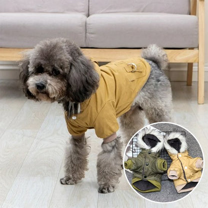 Manteau pour chien