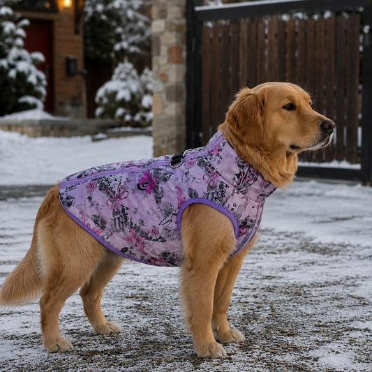 Manteau pour Chien