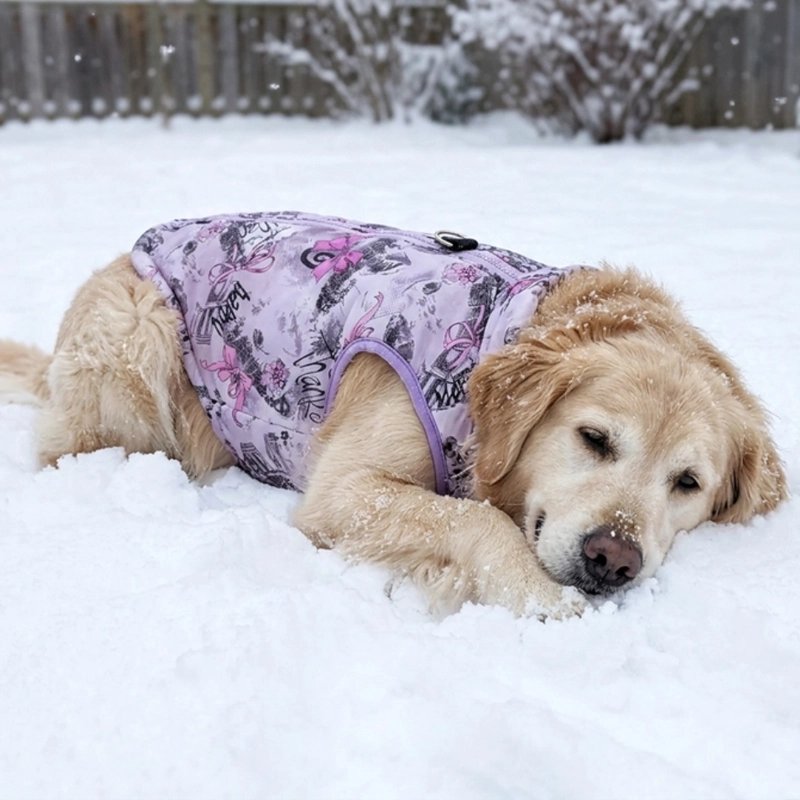 Manteau pour Chien