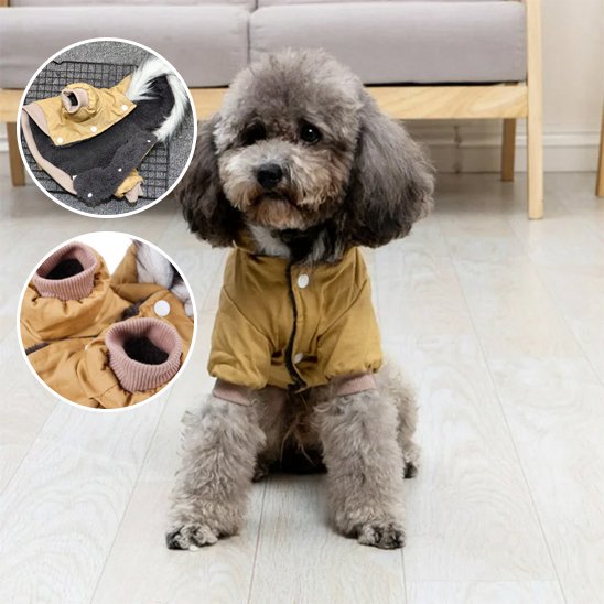 Manteau pour chien