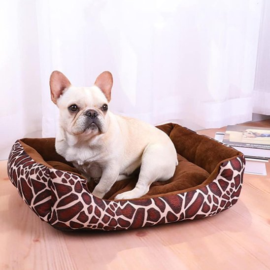Panier pour chien