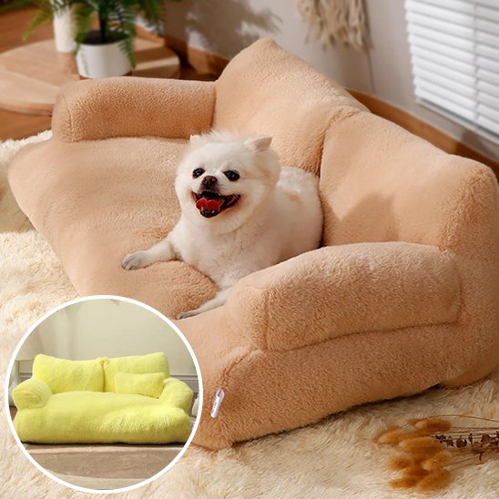 Panier pour chien