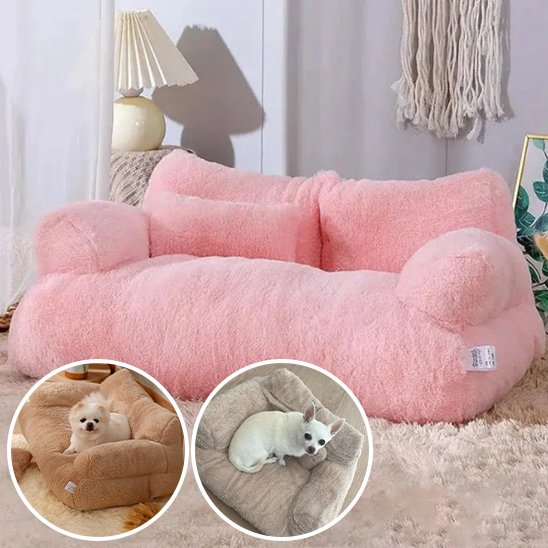 Panier pour chien