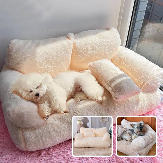 Panier pour chien