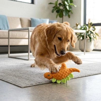 Peluche pour chien