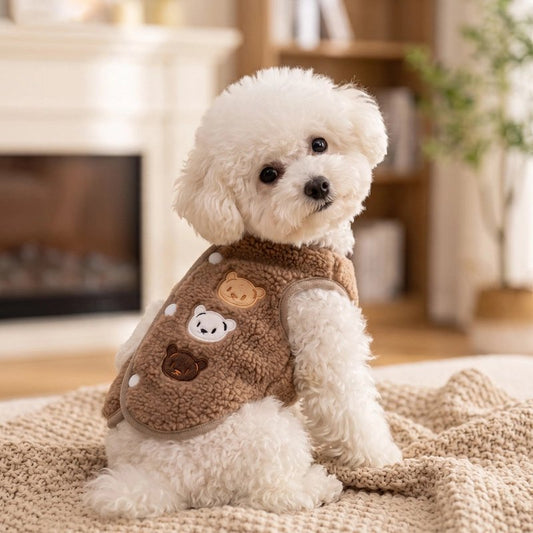 Pull pour Chien