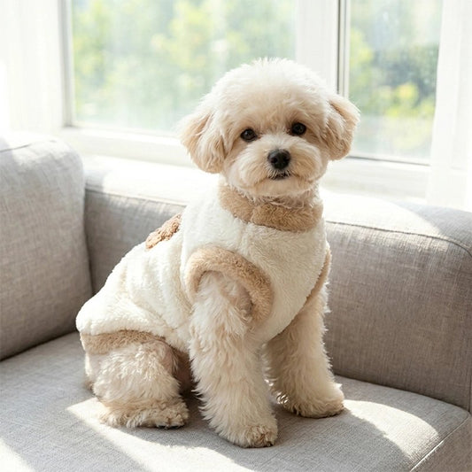 Pull pour Chien