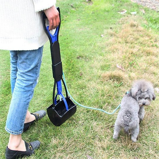 ramasse crottes pour chien