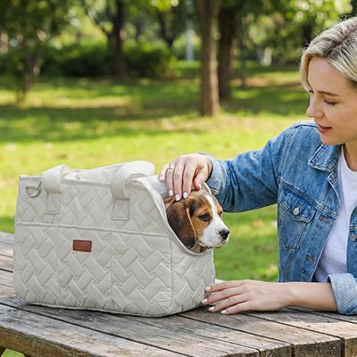 Sac de transport pour chien 