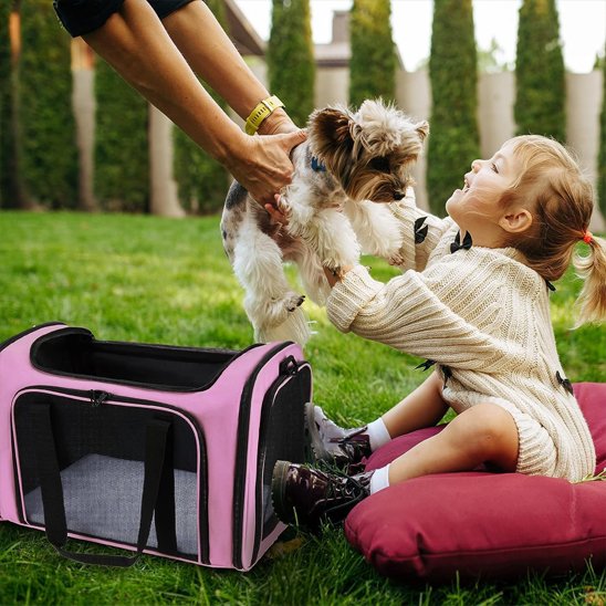 Sac de transport pour chien