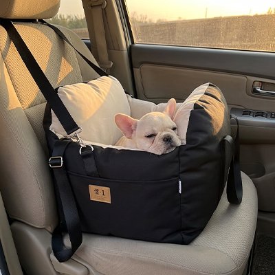 Siege auto pour chien 