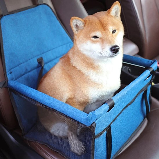 Siege auto pour chien