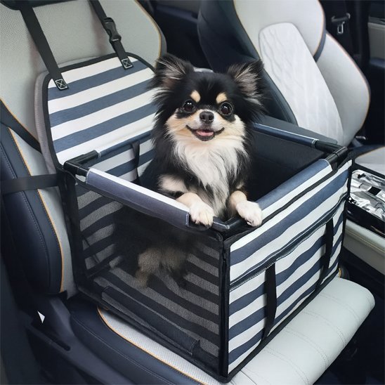 Siege auto pour chien