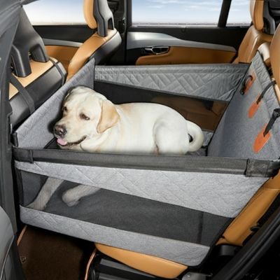 Siege auto pour chien