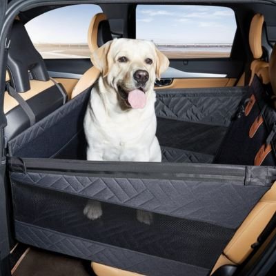 Siege auto pour chien