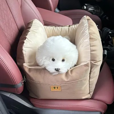 Siege auto pour chien 
