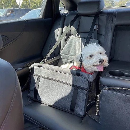 Siege auto pour chien