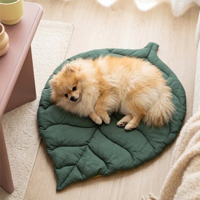 Tapis Chien