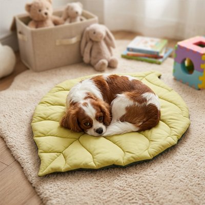 Tapis Chien