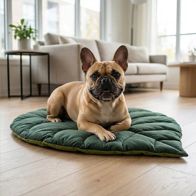 Tapis Chien