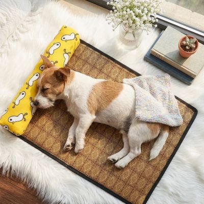 Tapis rafraichissant Chien