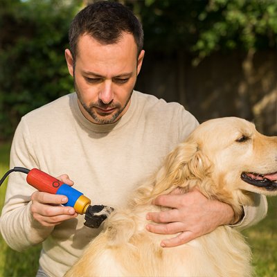 Tondeuse pour chien