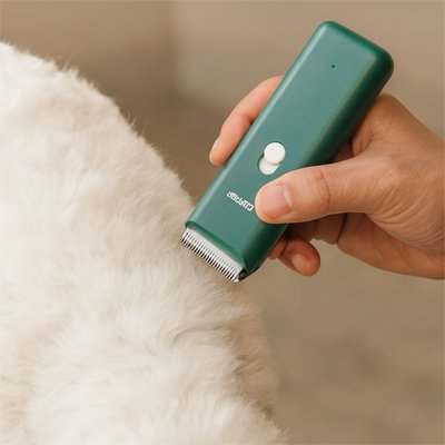 Tondeuse pour chien